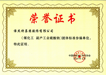 壹定发煤化工副产工业硫酸 钠荣誉证书