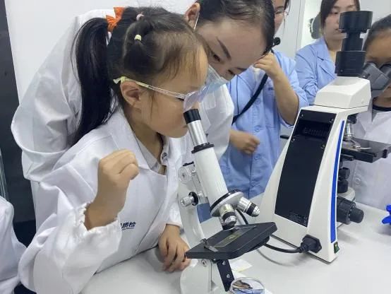 产品聚焦 | 蹲下来，，，，，，，眯起眼睛，，，，，，，一起视察「桃子上的微观部落」